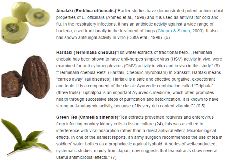 antiviral foods 1