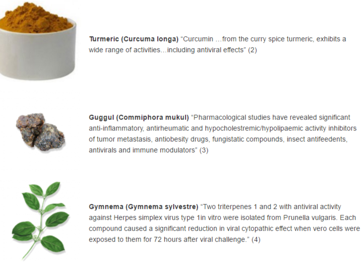 antiviral foods