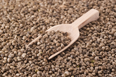 hempseed