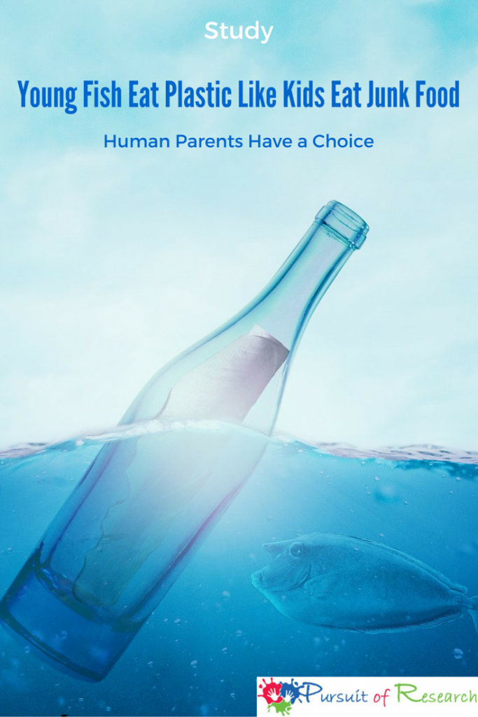 YOUNG FISH EAT PLASTIC LIKE KIDS EAT JUNK FOOD While this study has to do with our environment and the impact of pollution on fish, it also once again raises awareness about the importance for parents to become knowledgeable about nutrition and the impact dietary choices have on intellectual ability and health.