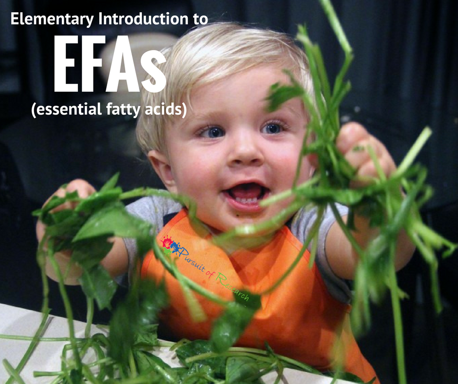 Elementary Introduction to EFAs (essential fatty acids)