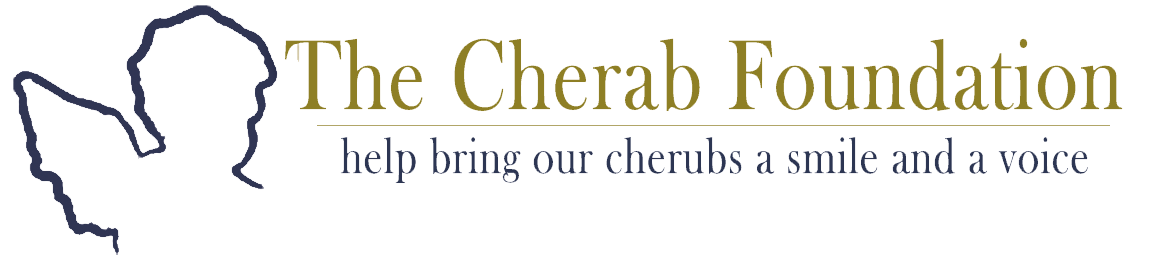 Cherab Foundation Large