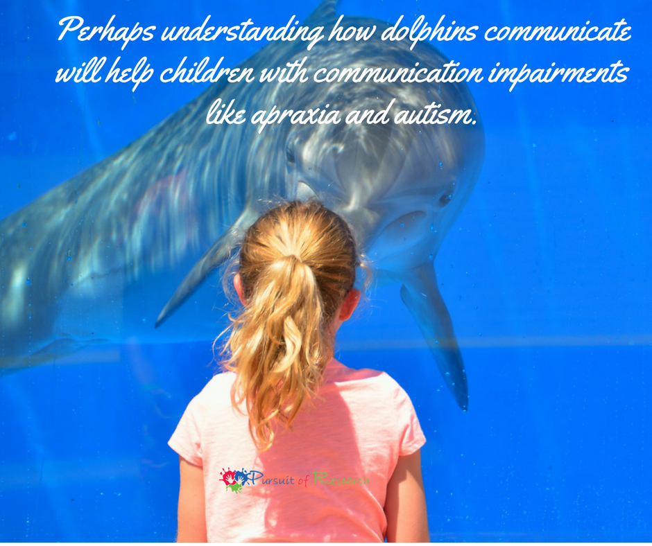 Perhaps understanding how dolphins communicate will help children with communication impairments like apraxia and autism.