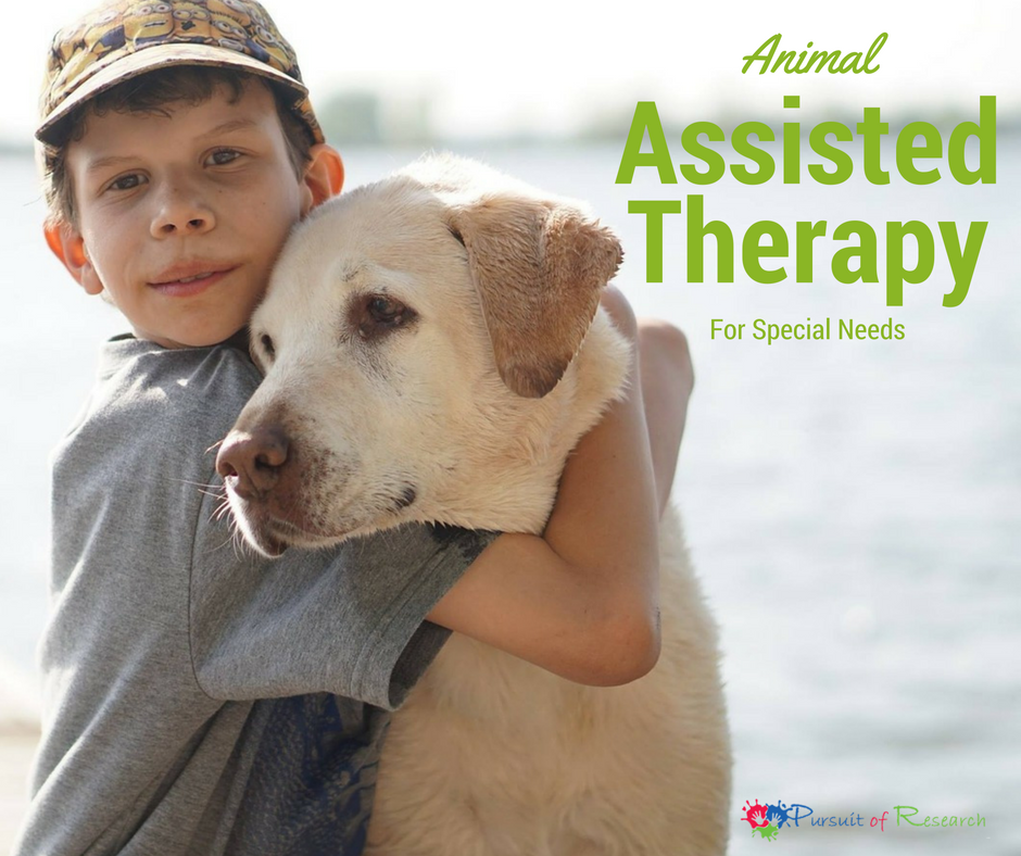 animal assisted therapy for special needs