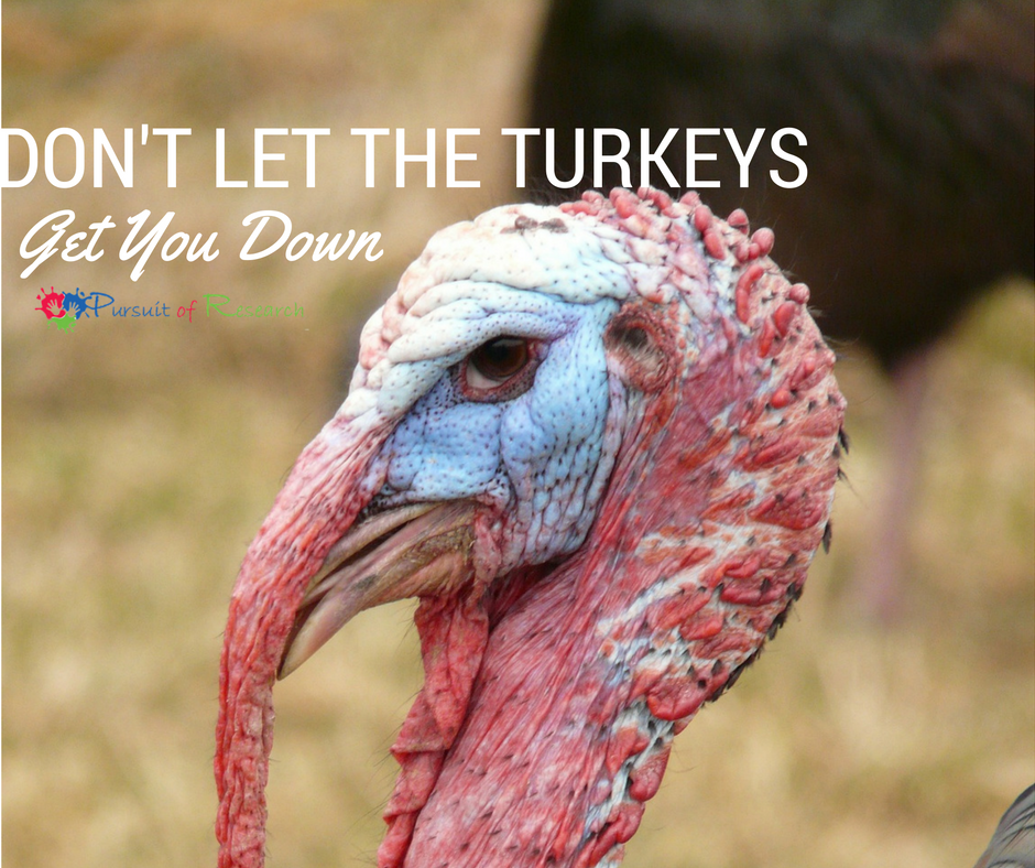 Don’t Let The Turkeys Get You Down This Holiday Season