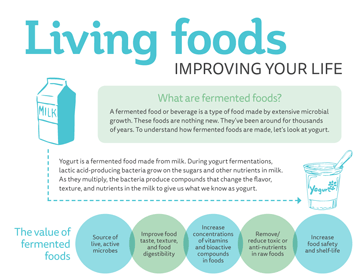 Fermented-Foods-infographic-small