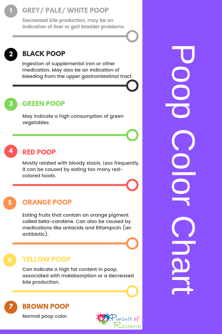 poop stool color changes color chart and meaning healthy concept stock ...